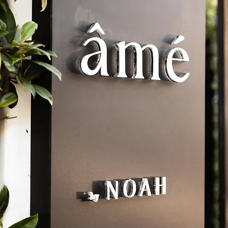 Ame By Noah-3