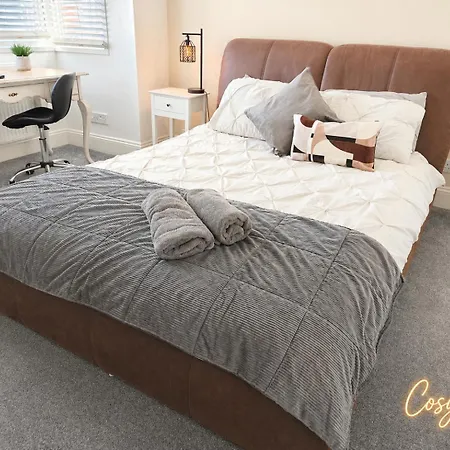 Cosy Bee-2