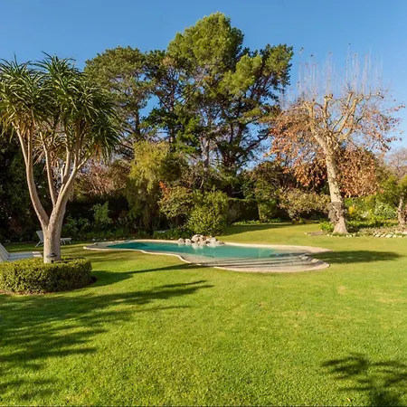 Beluga Of Constantia Guest House-2