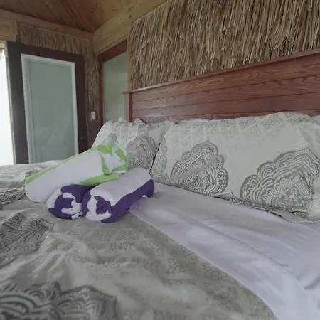 Tiki Suites Ocean Adventures-Floating Bungalows-3