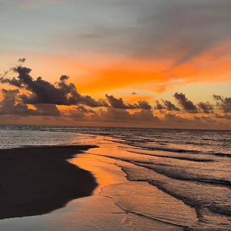 Samura Maldives Guest House Thulusdhoo-3