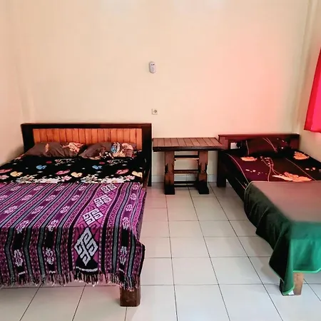 Arjuna Homestay Ubud-2