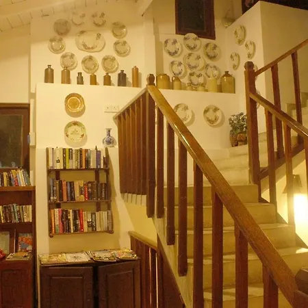 Pedlar 62 Guest House-3