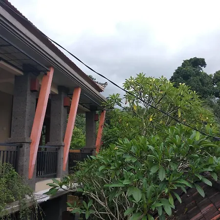 Utari House-3