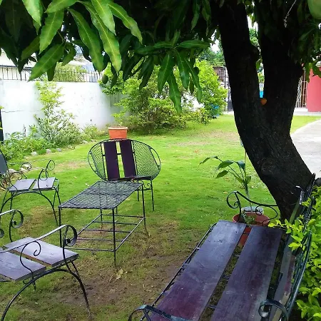 Yard Style-3