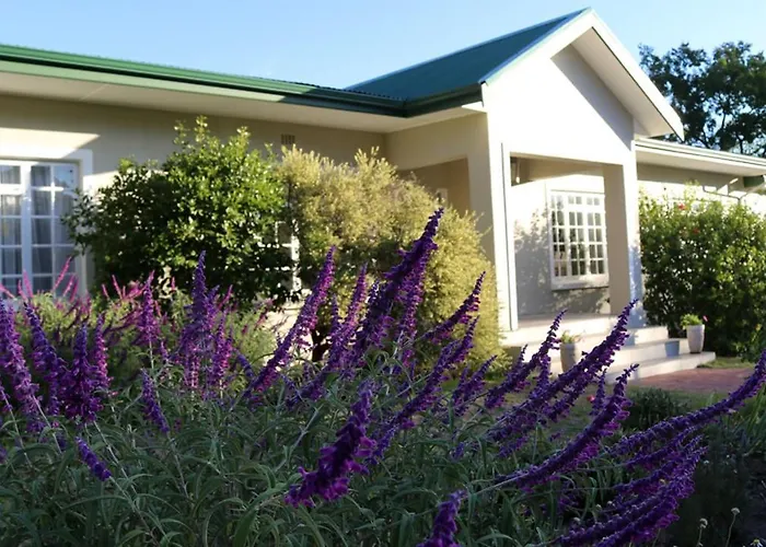 Daisy Place Franschhoek