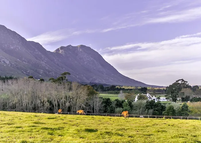Hemel 'N Aarde Stud Hotel Hermanus