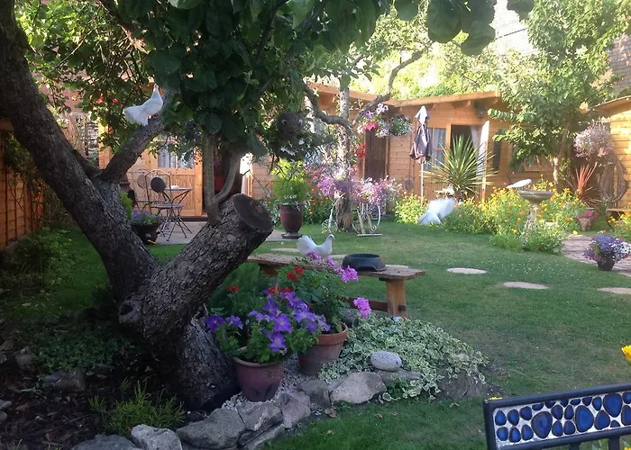 Alice Guest House Cheltenham