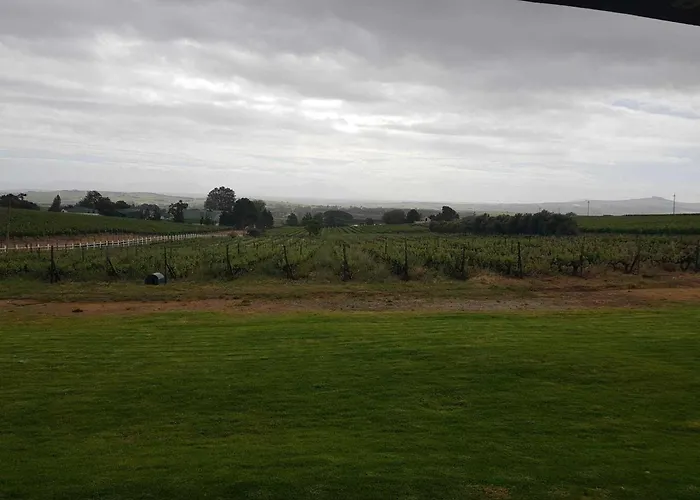 Dieu Donne Stellenbosch