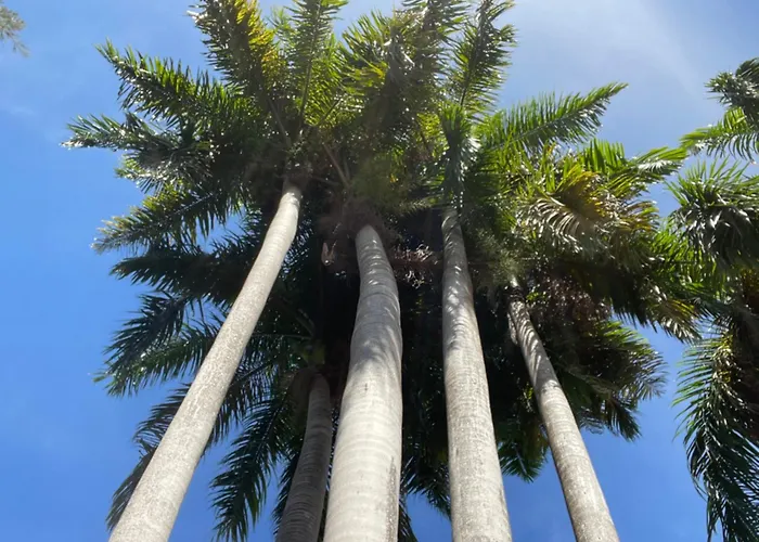 Peaceful Palms Montego Bay Hotel