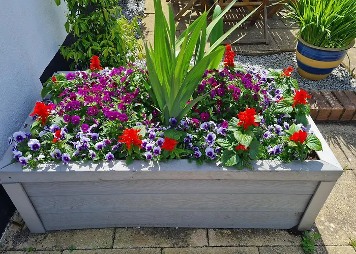 Brookside Guest House & Mini Spa Brixham