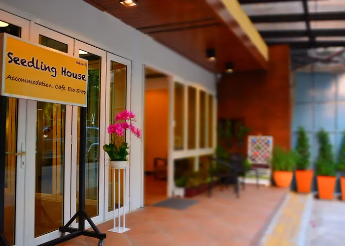Seedling House Pattaya
