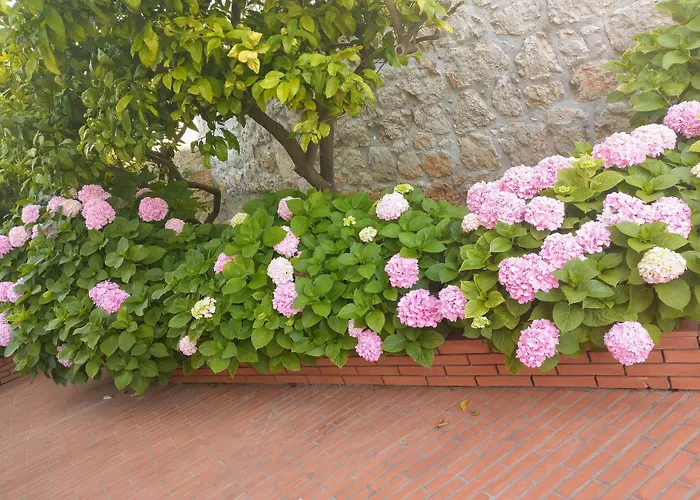 Villa Katarina Dubrovnik