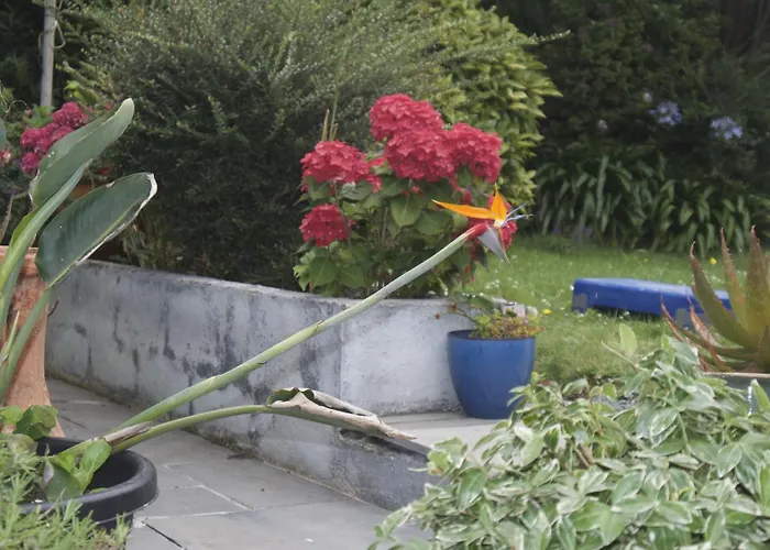 Skyline Guesthouse Newquay 