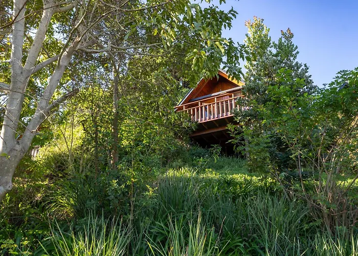 Abalone Lodges Knysna