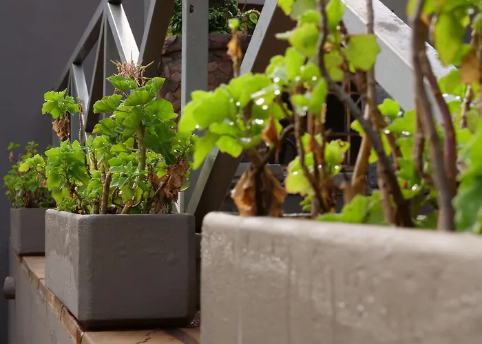7Th Street Guesthouse Johannesburg